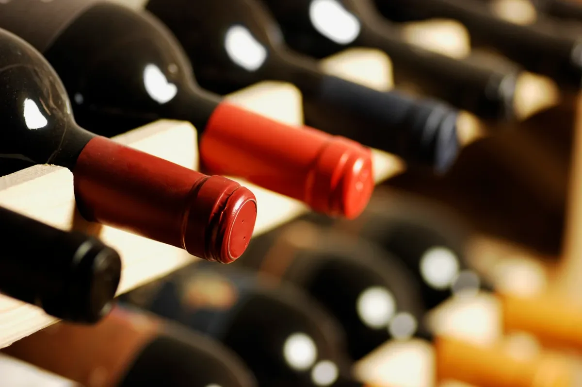 A row of dark glass wine bottles rests on a wooden rack in a cool storage space, protected by climate control systems.